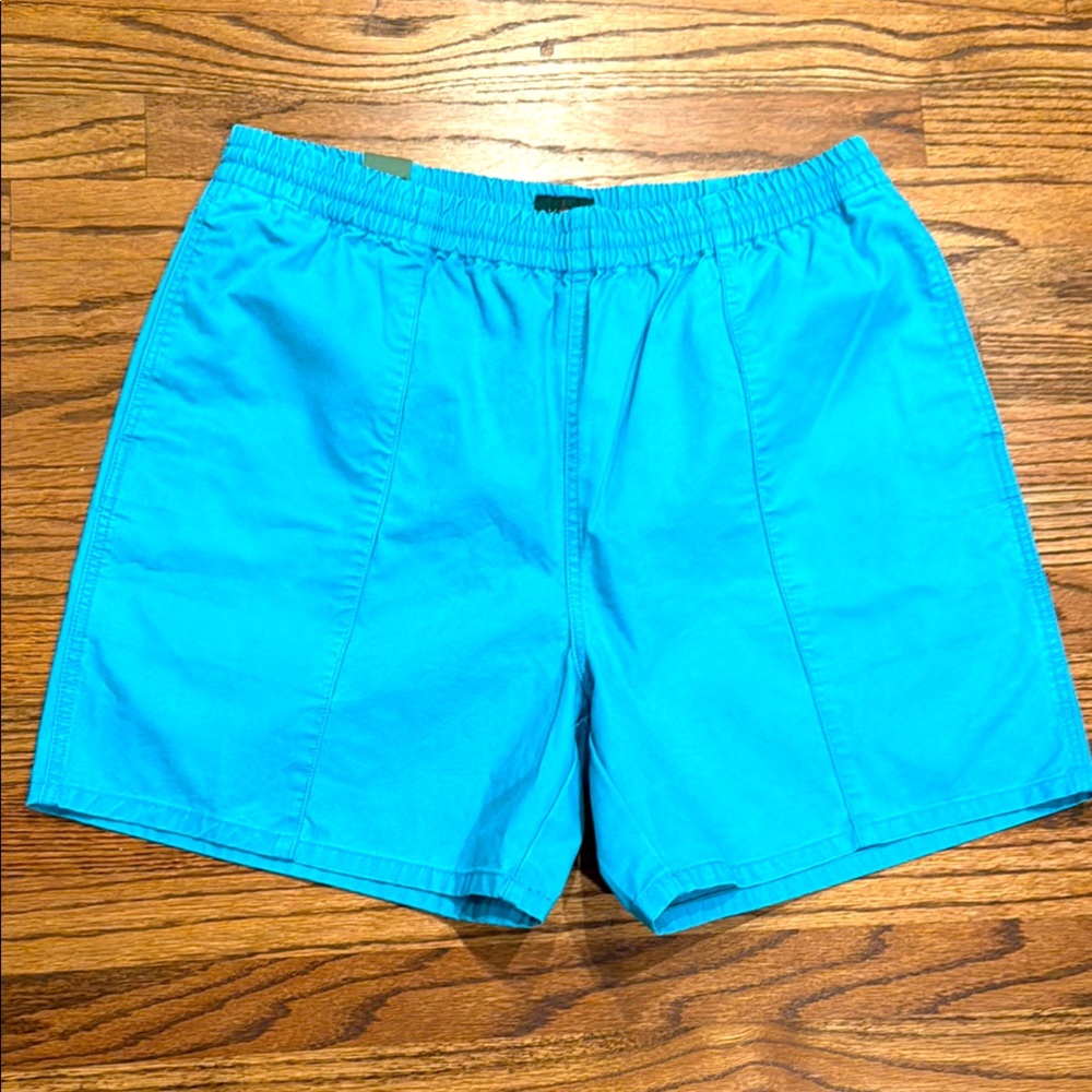Vibrant Blue Shorts